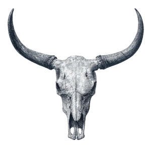 Long Horn Skull Vinyl Car Decal Sticker – Waterproof & UV-Resistant 3.4133333333333336" Long Horn Skull Vinyl Car Decal Sticker – Waterproof & UV-Resistant 3.4133333333333336"