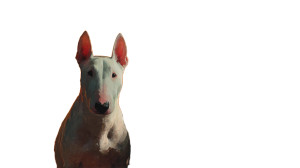 Solitary Bull Terrier Vinyl Car Decal Sticker – Waterproof & UV-Resistant 2.72"
