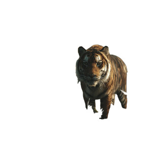 Bengal Tiger V2 Vinyl Car Decal Sticker – Waterproof & UV-Resistant 3.4133333333333336"