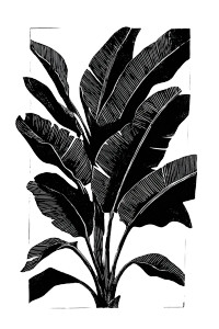 Banana Plant Linocut Vinyl Car Decal Sticker – Waterproof & UV-Resistant 8.96"