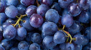 Blue Grapes V2 Vinyl Car Decal Sticker – Waterproof & UV-Resistant 2.72"