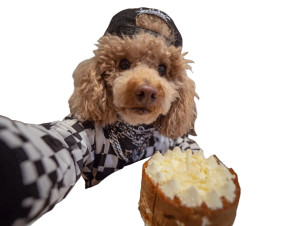 Rapper Poodle Selfie Vinyl Car Decal Sticker – Waterproof & UV-Resistant 6.1866666666666665" Rapper Poodle Selfie Vinyl Car Decal Sticker – Waterproof & UV-Resistant 6.1866666666666665"