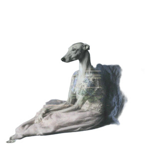 Whippet On Couch Vinyl Car Decal Sticker – Waterproof & UV-Resistant 6.826666666666667"