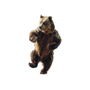 Running Bear V3 Vinyl Car Decal Sticker – Waterproof & UV-Resistant 3.4133333333333336"