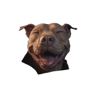 Happy Pitbull Dog Vinyl Car Decal Sticker – Waterproof & UV-Resistant 3.4133333333333336" Happy Pitbull Dog Vinyl Car Decal Sticker – Waterproof & UV-Resistant 3.4133333333333336"