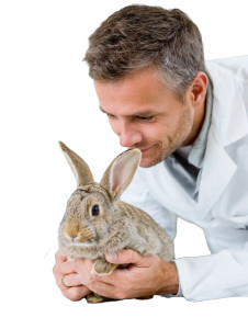 Veterinarian Examining Rabbit Vinyl Car Decal Sticker – Waterproof & UV-Resistant 8.213333333333333"