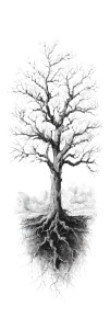Leafless Tree Drawing Vinyl Car Decal Sticker – Waterproof & UV-Resistant 6.346666666666667" Leafless Tree Drawing Vinyl Car Decal Sticker – Waterproof & UV-Resistant 6.346666666666667"