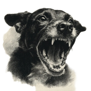 Angry Dog V5 Vinyl Car Decal Sticker – Waterproof & UV-Resistant 3.4133333333333336"