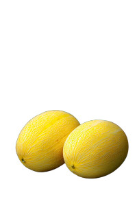 Torpedo Melons Vinyl Car Decal Sticker – Waterproof & UV-Resistant 8.96"