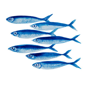 Watercolor Sardines V2 Vinyl Car Decal Sticker – Waterproof & UV-Resistant 6.826666666666667" Watercolor Sardines V2 Vinyl Car Decal Sticker – Waterproof & UV-Resistant 6.826666666666667"