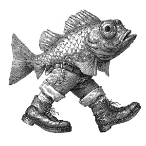 Fish With Legs Vinyl Car Decal Sticker – Waterproof & UV-Resistant 3.4133333333333336"