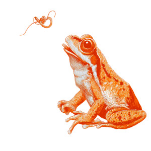 Baby Frog Catch Vinyl Car Decal Sticker – Waterproof & UV-Resistant 3.4133333333333336"