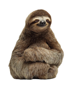 Sloth On White Vinyl Car Decal Sticker – Waterproof & UV-Resistant 8.0"