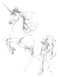 Majestic Unicorn Drawing Vinyl Car Decal Sticker – Waterproof & UV-Resistant 4.213333333333333" Majestic Unicorn Drawing Vinyl Car Decal Sticker – Waterproof & UV-Resistant 4.213333333333333"