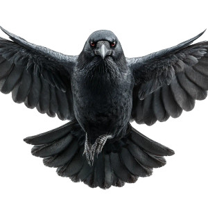 Spread-Winged Crow Vinyl Car Decal Sticker – Waterproof & UV-Resistant 3.4133333333333336"