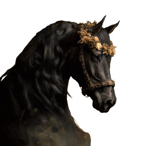 Arabian Stallion Portrait Vinyl Car Decal Sticker – Waterproof & UV-Resistant 3.4133333333333336"