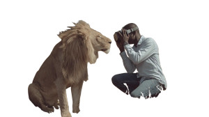 Vr Lion Encounter Vinyl Car Decal Sticker – Waterproof & UV-Resistant 5.4 Vr Lion Encounter Vinyl Car Decal Sticker – Waterproof & UV-Resistant 5.4