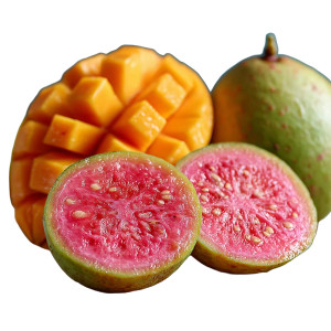 Tropical Fruit Still Vinyl Car Decal Sticker – Waterproof & UV-Resistant 3.4133333333333336" Tropical Fruit Still Vinyl Car Decal Sticker – Waterproof & UV-Resistant 3.4133333333333336"
