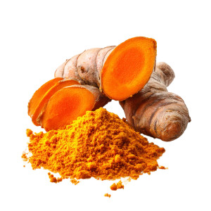 Fresh Turmeric Root Vinyl Car Decal Sticker – Waterproof & UV-Resistant 3.4133333333333336" Fresh Turmeric Root Vinyl Car Decal Sticker – Waterproof & UV-Resistant 3.4133333333333336"