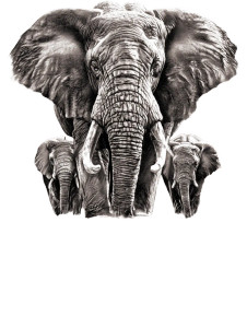 Elephant Reflection Tattoo Vinyl Car Decal Sticker – Waterproof & UV-Resistant 8.213333333333333" Elephant Reflection Tattoo Vinyl Car Decal Sticker – Waterproof & UV-Resistant 8.213333333333333"