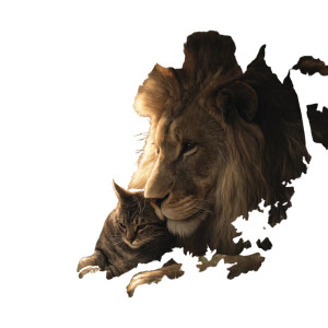 Majestic Lion Cuddles Cat Vinyl Car Decal Sticker – Waterproof & UV-Resistant 3.4133333333333336"