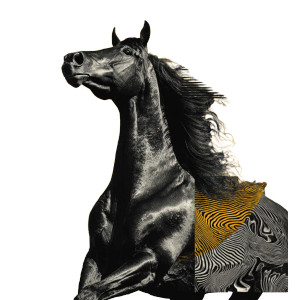 Futurist Horse Art Vinyl Car Decal Sticker – Waterproof & UV-Resistant 3.4133333333333336"