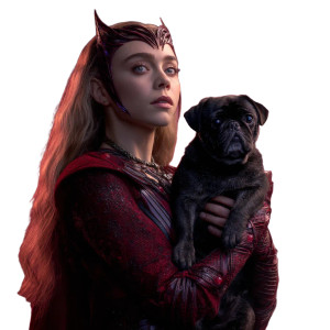 Scarlet Witch Pug Vinyl Car Decal Sticker – Waterproof & UV-Resistant 3.4133333333333336"