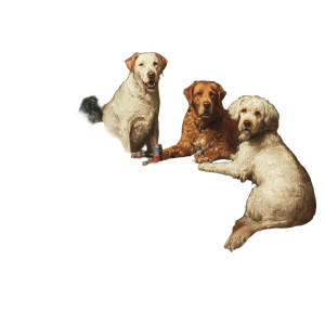 Dogs Playing Poker V8 Vinyl Car Decal Sticker – Waterproof & UV-Resistant 3.4133333333333336" Dogs Playing Poker V8 Vinyl Car Decal Sticker – Waterproof & UV-Resistant 3.4133333333333336"