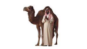 Saudi Man With Camel Vinyl Car Decal Sticker – Waterproof & UV-Resistant 2.72" Saudi Man With Camel Vinyl Car Decal Sticker – Waterproof & UV-Resistant 2.72"