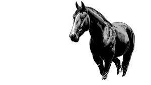 Horse V7 Vinyl Car Decal Sticker – Waterproof & UV-Resistant 2.72"