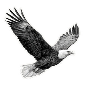 Flying Bald Eagle Vinyl Car Decal Sticker – Waterproof & UV-Resistant 6.826666666666667" Flying Bald Eagle Vinyl Car Decal Sticker – Waterproof & UV-Resistant 6.826666666666667"