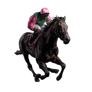 South African Jockey Vinyl Car Decal Sticker – Waterproof & UV-Resistant 3.4133333333333336"