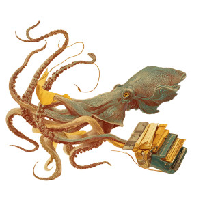 Vintage Squid Illustrator Vinyl Car Decal Sticker – Waterproof & UV-Resistant 3.4133333333333336" Vintage Squid Illustrator Vinyl Car Decal Sticker – Waterproof & UV-Resistant 3.4133333333333336"