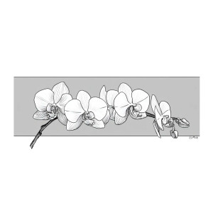 Orchid Banner Vinyl Car Decal Sticker – Waterproof & UV-Resistant 3.4133333333333336"