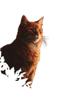 Fairy Tale Cat Vinyl Car Decal Sticker – Waterproof & UV-Resistant 8.96"