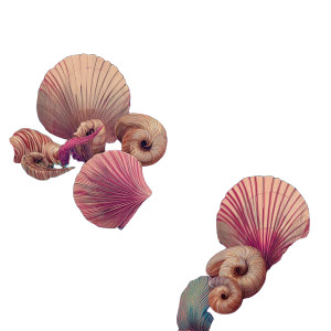 Playful Octopuses Pattern Vinyl Car Decal Sticker – Waterproof & UV-Resistant 3.4133333333333336"