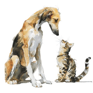 Saluki And Tabby Vinyl Car Decal Sticker – Waterproof & UV-Resistant 3.4133333333333336"