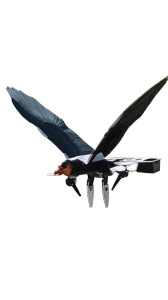Bird Drone Vinyl Car Decal Sticker – Waterproof & UV-Resistant 9.706666666666667" Bird Drone Vinyl Car Decal Sticker – Waterproof & UV-Resistant 9.706666666666667"