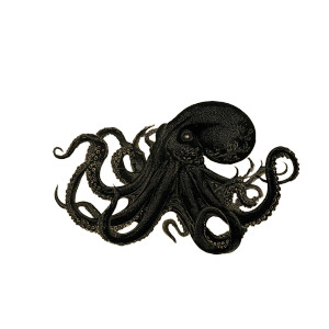 Black Edo Octopus Vinyl Car Decal Sticker – Waterproof & UV-Resistant 3.4133333333333336" Black Edo Octopus Vinyl Car Decal Sticker – Waterproof & UV-Resistant 3.4133333333333336"