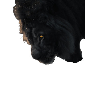 Majestic Black Lion V3 Vinyl Car Decal Sticker – Waterproof & UV-Resistant 6.826666666666667" Majestic Black Lion V3 Vinyl Car Decal Sticker – Waterproof & UV-Resistant 6.826666666666667"