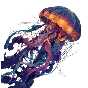 Neon Space Jellyfish Vinyl Car Decal Sticker – Waterproof & UV-Resistant 3.4133333333333336"