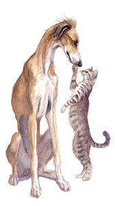Saluki And Tabby V2 Vinyl Car Decal Sticker – Waterproof & UV-Resistant 9.706666666666667"