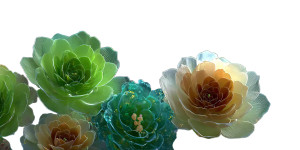 Geometric Succulent Illustration Vinyl Car Decal Sticker – Waterproof & UV-Resistant 5.12"