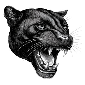 Panther Head Tattoo Vinyl Car Decal Sticker – Waterproof & UV-Resistant 3.4133333333333336" Panther Head Tattoo Vinyl Car Decal Sticker – Waterproof & UV-Resistant 3.4133333333333336"