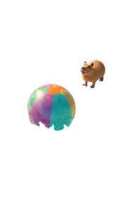 Beach Ball Splash Vinyl Car Decal Sticker – Waterproof & UV-Resistant 9.706666666666667"