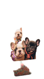 Puppy Gift Boxes Vinyl Car Decal Sticker – Waterproof & UV-Resistant 9.706666666666667" Puppy Gift Boxes Vinyl Car Decal Sticker – Waterproof & UV-Resistant 9.706666666666667"