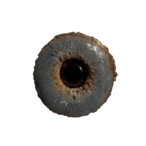 Gritty Floating Eye Vinyl Car Decal Sticker – Waterproof & UV-Resistant 6.826666666666667"
