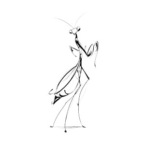 Elegant Mantis Vinyl Car Decal Sticker – Waterproof & UV-Resistant 3.4133333333333336" Elegant Mantis Vinyl Car Decal Sticker – Waterproof & UV-Resistant 3.4133333333333336"