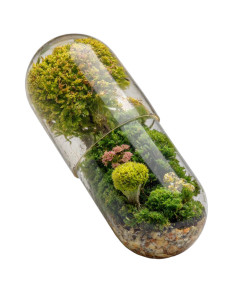 Mossy Glass Pill Vinyl Car Decal Sticker – Waterproof & UV-Resistant 8.213333333333333"