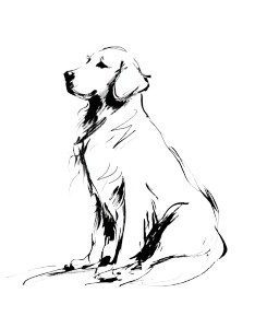 Golden Retriever Drawing V2 Vinyl Car Decal Sticker – Waterproof & UV-Resistant 4.05333333333333 Golden Retriever Drawing V2 Vinyl Car Decal Sticker – Waterproof & UV-Resistant 4.05333333333333